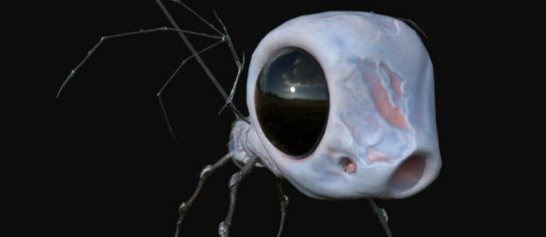 spider like creature